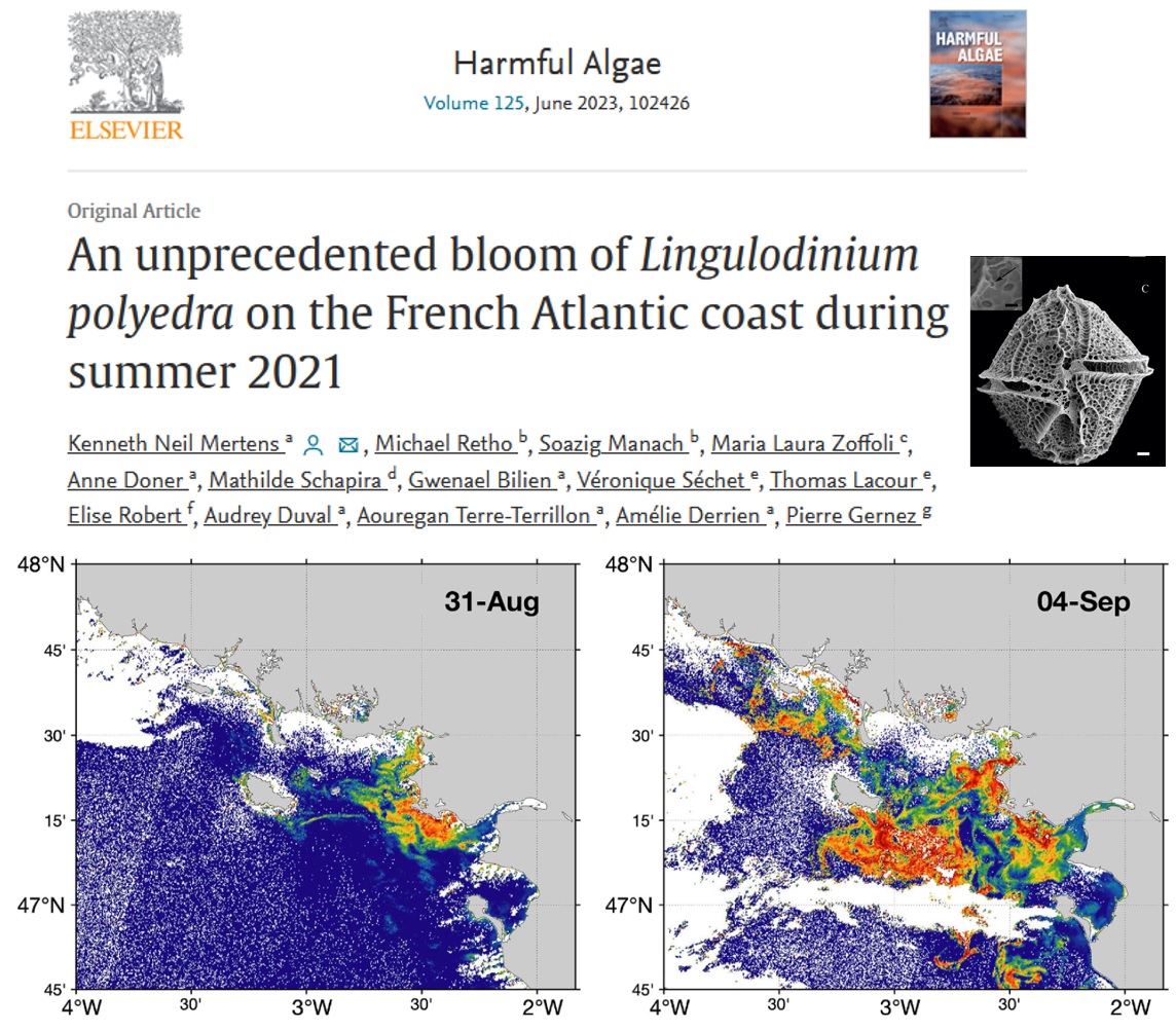 Publication d’un article